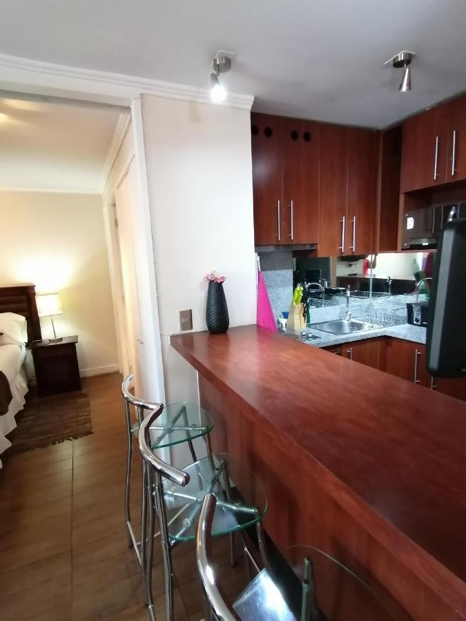 M-Montt Providencia Apartamentos Amoblados Santiago de Chile Zewnętrze zdjęcie