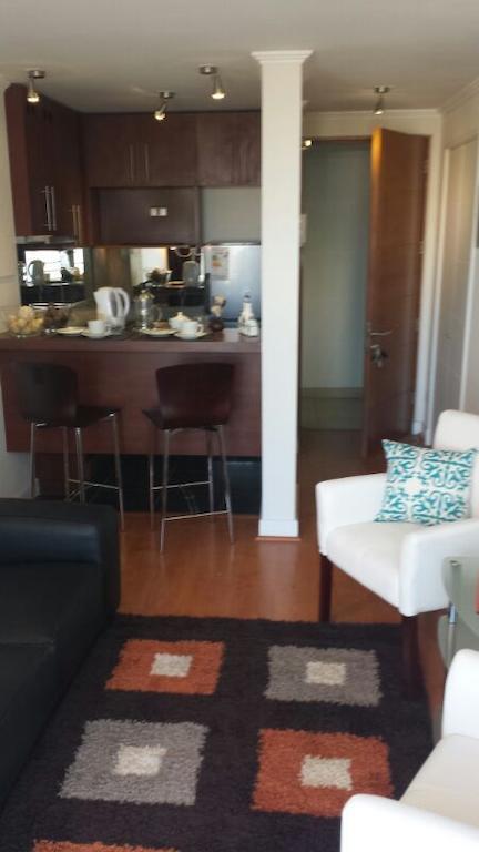 M-Montt Providencia Apartamentos Amoblados Santiago de Chile Zewnętrze zdjęcie